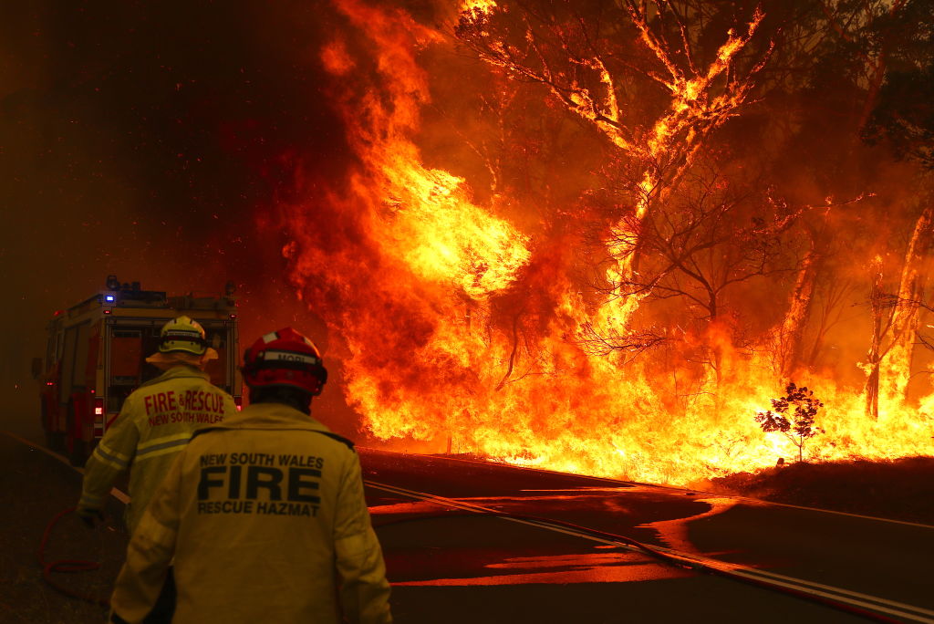Bushfire Protection Australia: A Trusted Organization During Bushfire Season